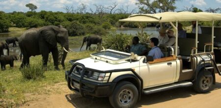 10 day kruger park vic falls 1