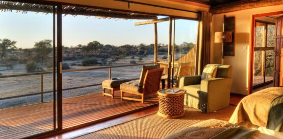 11 day luxury guided mobile safari 1