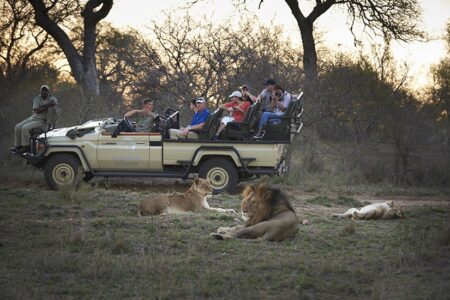 7 Day Kruger Victoria Falls Safari 2