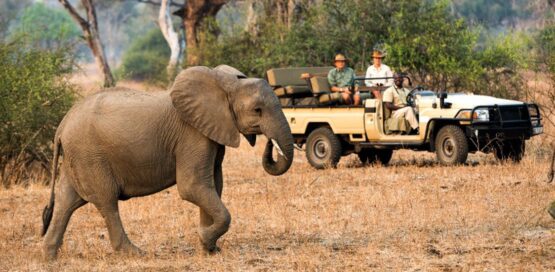 9 day zambian hidden gem safari 1