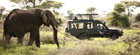 Grumeti Serengeti Tented Camp 2