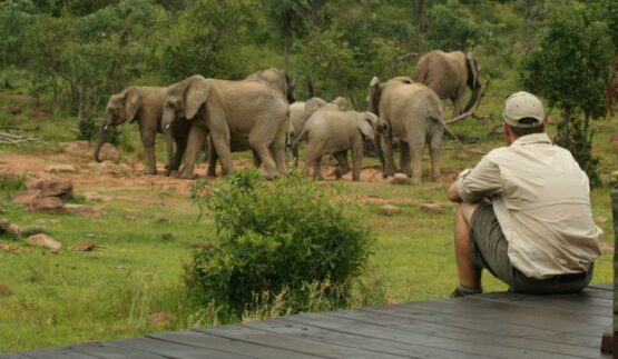 Makweti Safari Lodge 1