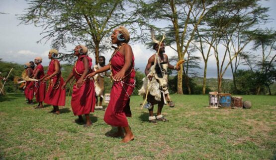 Sarova Lion Hill Game Lodge 1