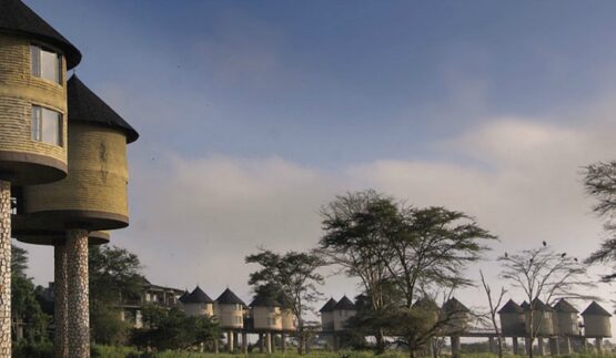 Sarova Salt Lick Game Lodge 1