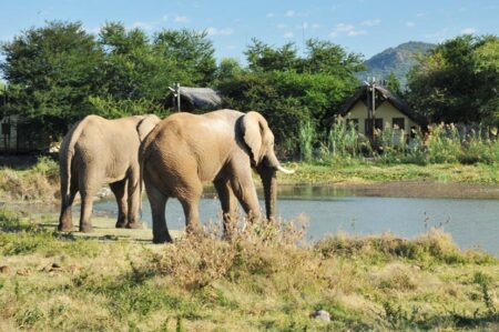 Tau Game Lodge 2