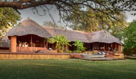 luangwa river camp 1