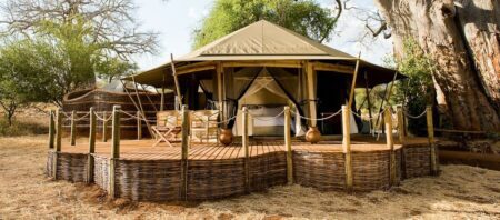 swala camp 2