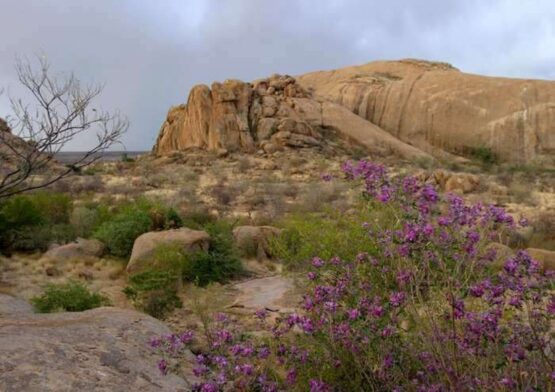 Erongo Wilderness Lodge 1