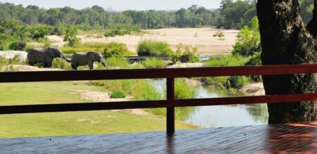 Inyati game lodge 2