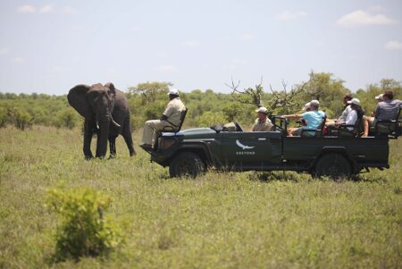 Ngala Safari Lodge 2