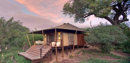 Ngala Tented Safari Camp 1