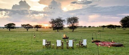 singita sabora tented camp 2